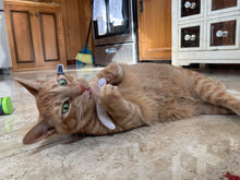 Load image into Gallery viewer, Smokey's Stash Catnip Pre Rolled Joints (5 Pack)