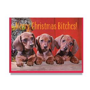 Merry Christmas Bitches Card