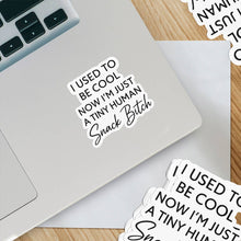 Load image into Gallery viewer, Tiny Human Snack Bitch – Vinyl Sticker