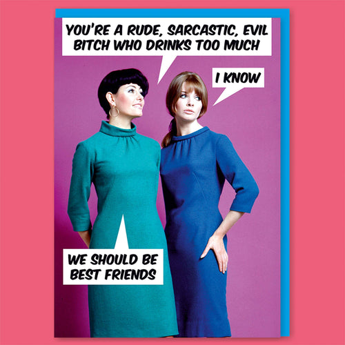 You're a Rude, Sarcastic, Evil Bitch Greeting Cards