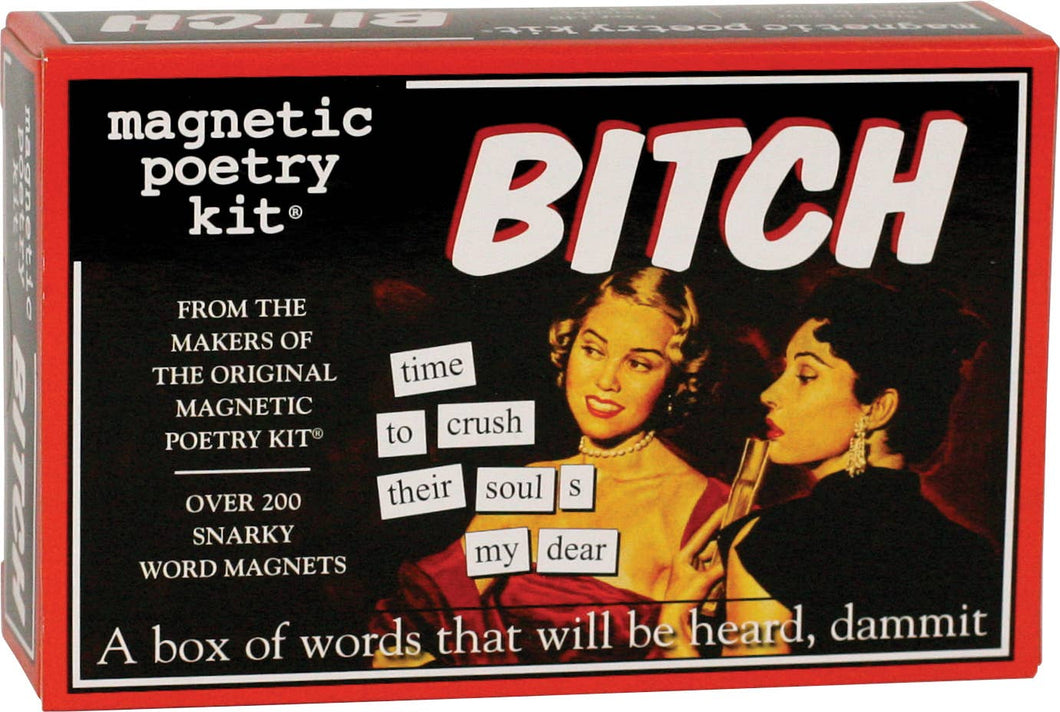 bitch Magnetic Poetry Kit