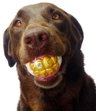 Load image into Gallery viewer, Humunga Bling Dog Ball