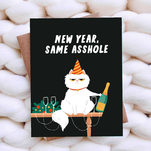 Funny New Years Card Cat Christmas Card / Funny Holiday Card