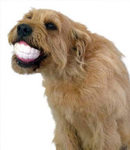 Load image into Gallery viewer, Humunga Chomp Dog Ball