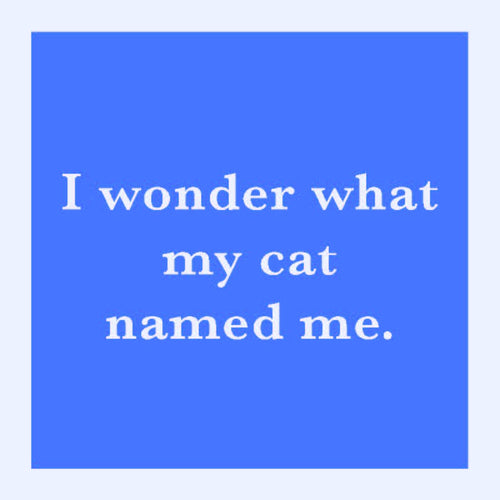 Cat Named Me 