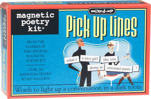 Pick Up Lines Magnetic Poetry Kit