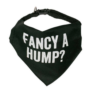 Fancy A Hump Pet Bandana/Collar