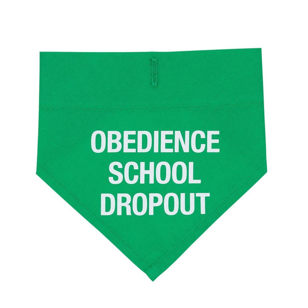 Obedience School Dropout Small / Medium Dog Bandana