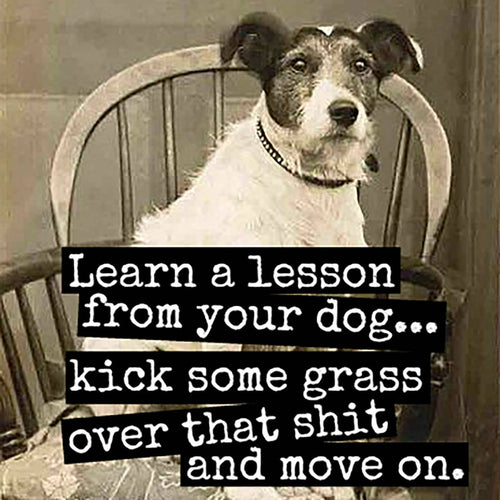 Learn A Lesson From Your Dog...Fridge Magnet